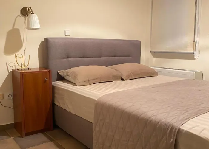 Διαμέρισμα Στο Κέντρο Της Πόλης